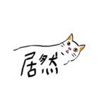 I am a stupid cat（個別スタンプ：12）