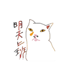 I am a stupid cat（個別スタンプ：13）