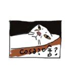 I am a stupid cat（個別スタンプ：20）