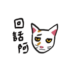 I am a stupid cat（個別スタンプ：22）