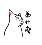 I am a stupid cat（個別スタンプ：28）