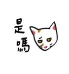 I am a stupid cat（個別スタンプ：35）