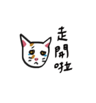I am a stupid cat（個別スタンプ：36）