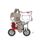 Mr Grey Little Cat 2（個別スタンプ：6）