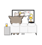 Mr Grey Little Cat 2（個別スタンプ：14）