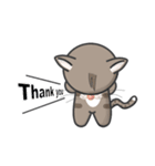Mr Grey Little Cat 2（個別スタンプ：19）
