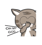 Mr Grey Little Cat 2（個別スタンプ：24）