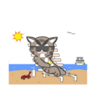 Mr Grey Little Cat 2（個別スタンプ：37）