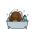 Miss Muddy Puppy Animated Stickers（個別スタンプ：17）