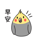 Our Cockatiel（個別スタンプ：2）