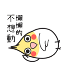 Our Cockatiel（個別スタンプ：9）