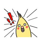 Our Cockatiel（個別スタンプ：11）