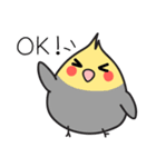 Our Cockatiel（個別スタンプ：17）