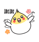 Our Cockatiel（個別スタンプ：18）