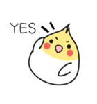 Our Cockatiel（個別スタンプ：19）