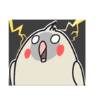 Our Cockatiel（個別スタンプ：23）