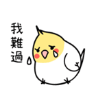 Our Cockatiel（個別スタンプ：31）