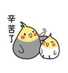 Our Cockatiel（個別スタンプ：32）