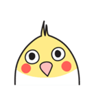 Our Cockatiel（個別スタンプ：36）