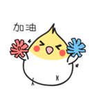 Our Cockatiel（個別スタンプ：40）