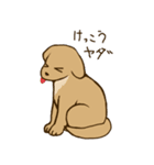 あったら使えるかもスタンプ（個別スタンプ：12）