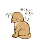 あったら使えるかもスタンプ（個別スタンプ：13）