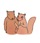 Drunk Squirrel 2（個別スタンプ：36）