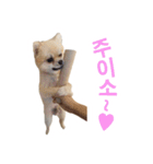 チョコ君（個別スタンプ：6）