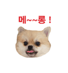 チョコ君（個別スタンプ：8）