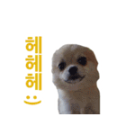 チョコ君（個別スタンプ：9）