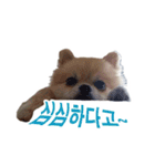 チョコ君（個別スタンプ：10）
