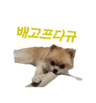 チョコ君（個別スタンプ：11）