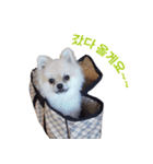 チョコ君（個別スタンプ：21）