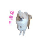 チョコ君（個別スタンプ：22）