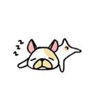 Frenchie Life（個別スタンプ：6）