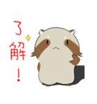 PACI（個別スタンプ：5）