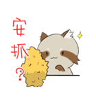 PACI（個別スタンプ：16）
