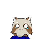 PACI（個別スタンプ：18）