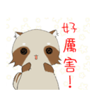 PACI（個別スタンプ：24）