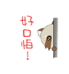 PACI（個別スタンプ：37）