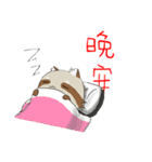 PACI（個別スタンプ：39）