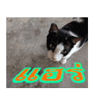 meawTHAI : You're gonna get it.（個別スタンプ：8）