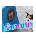 meawTHAI : You're gonna get it.（個別スタンプ：20）