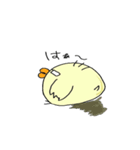 疲れぎみひよこのパパことぴぐちゃん（個別スタンプ：6）
