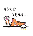 猫の「まぐろ」（個別スタンプ：11）