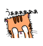 猫の「まぐろ」（個別スタンプ：12）