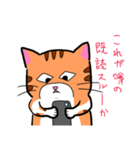 猫の「まぐろ」（個別スタンプ：17）