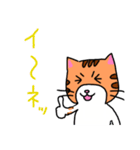 猫の「まぐろ」（個別スタンプ：19）