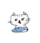 rui wen cat（個別スタンプ：13）