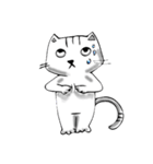rui wen cat（個別スタンプ：18）